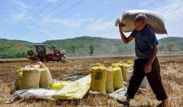 农民种地热点爆料视频,农民种地热点爆料视频揭秘